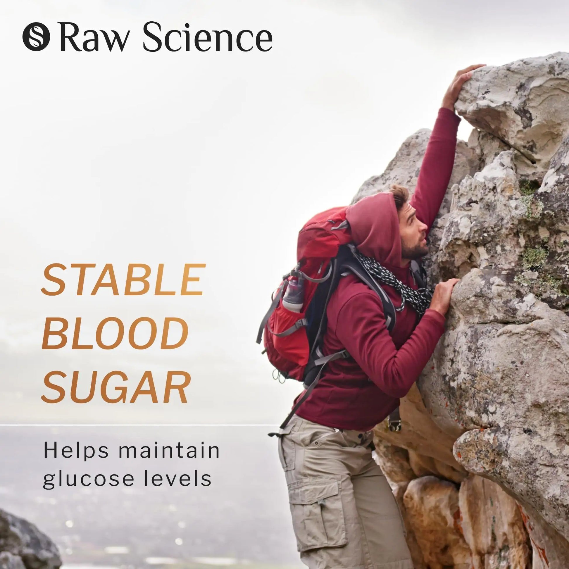 Cinnamon Gummies Blood Support Ceylon Cinnamon Bark 2000MG Blend 60 Gummies